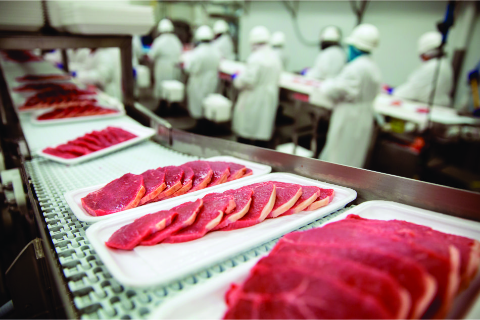 Consultoria para Frigoríficos