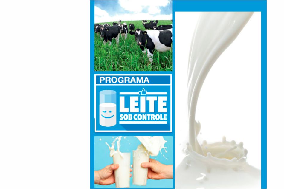 Consultoria para empresas de Laticínios